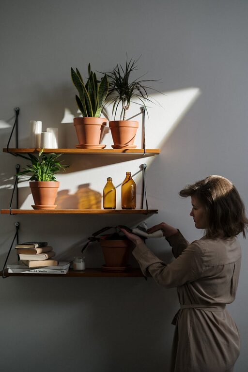Essential Tips for Keeping Your Houseplants Healthy and Thriving